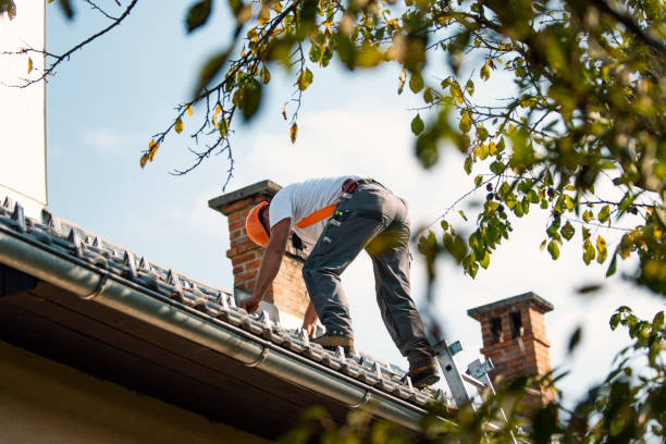 Asphalt Shingles Roofing in Clara City, MN